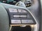 2025 Hyundai Palisade SEL Premium 8P
